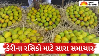 Kesar Mango Price: જૂનાગઢ અને પોરબંદર માર્કેટ યાર્ડમાં અચાનક કેસર કેરીની બમ્પર આવક થઇ, જાણો હરાજીમાં 10 કિલોના કેટલા ભાવ બોલાયા!