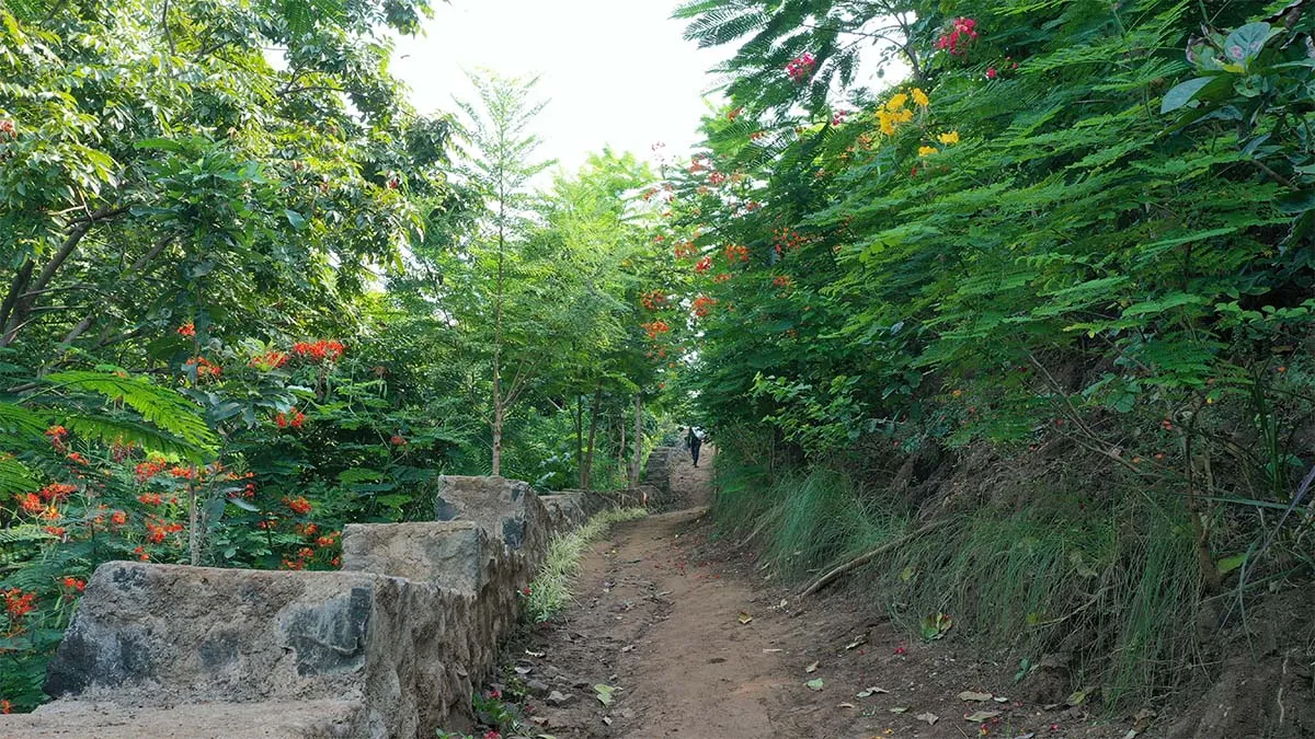 naidunia_image