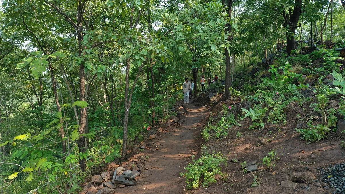 naidunia_image