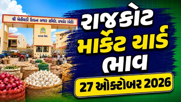 rajkot-market-yard-bhav-today-27-october-2026-latest-apmc-mandi-rates