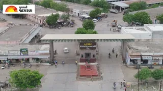 Gondal Market Yard Bhav Today: ગોંડલ માર્કેટ યાર્ડ: આજના કપાસ, જીરૂ, કાચી કેરી અને લીંબુના બજાર ભાવ