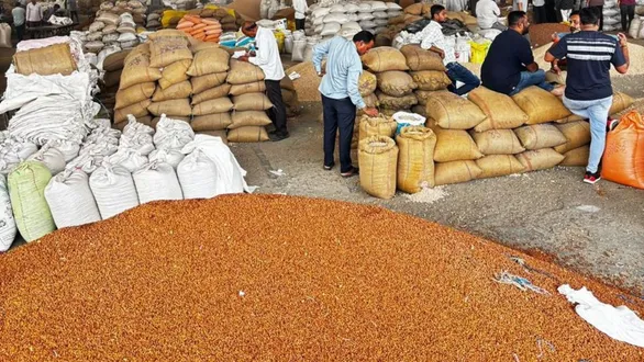 apmc-rajkot-market-yard-update-180-lakh-maund-soybean-and-9000-maund-cotton-arrivals