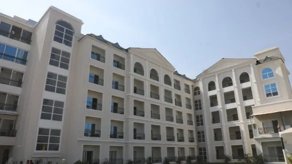 naidunia_image