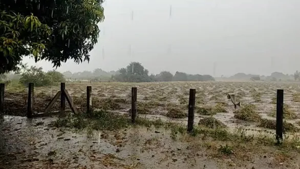 unseasonal-rains-in-saurashtra-woman-dies-of-lightning-strike-in-khambha-roofs-blown-off-in-kodinar